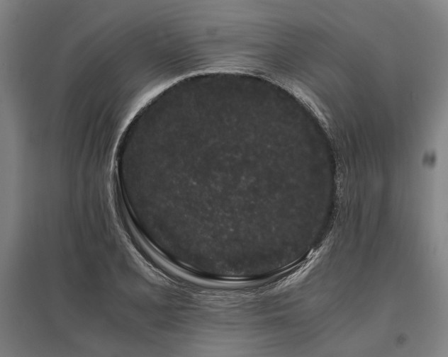 X0000096161077200801181220