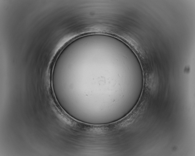 X0000096161078200801181220