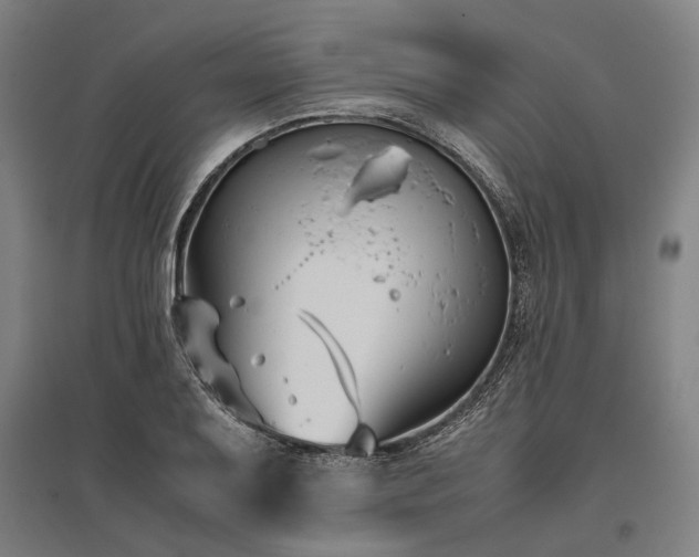 X0000096161079200801181220