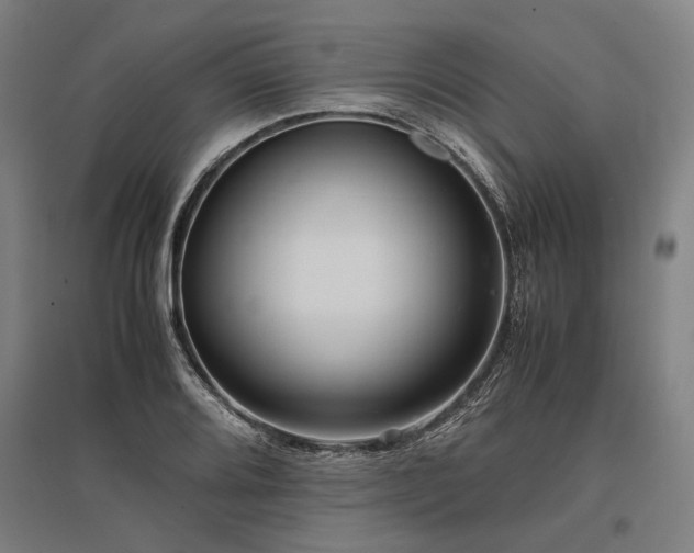 X0000096161080200801181220