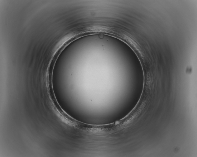 X0000096161082200801181219