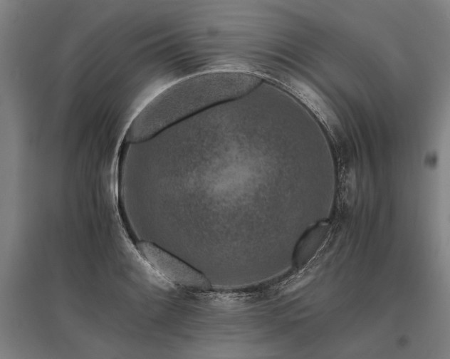 X0000096161084200801181219