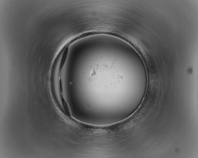 X0000096161085200801181219