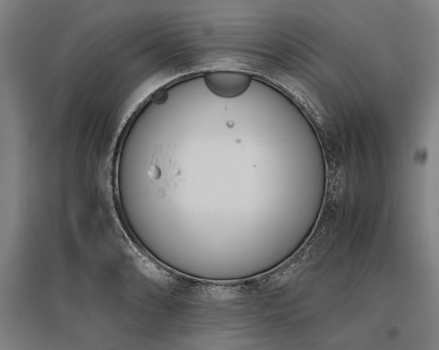 X0000096161086200801181219