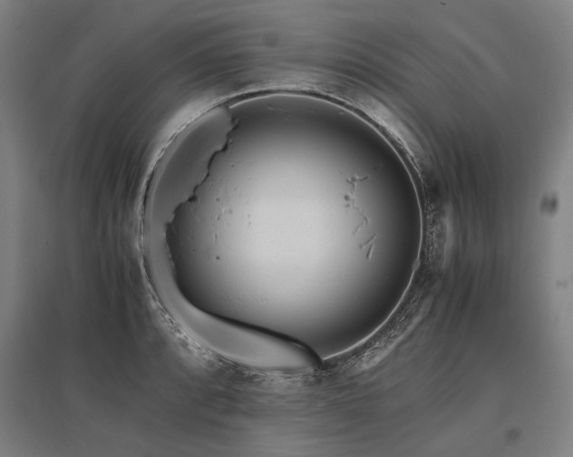 X0000096161088200801181219