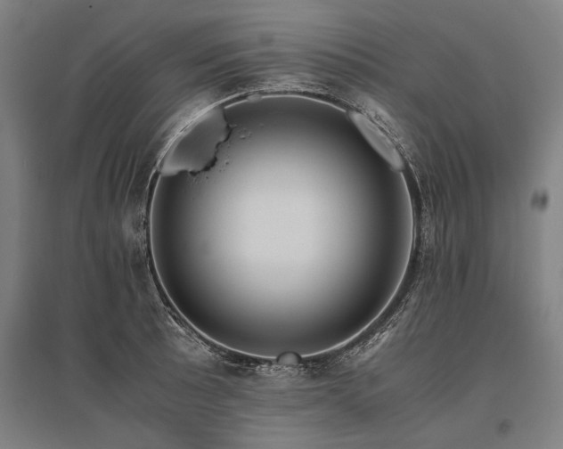 X0000096161089200801181219