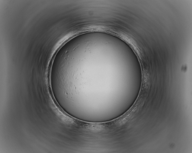 X0000096161090200801181219