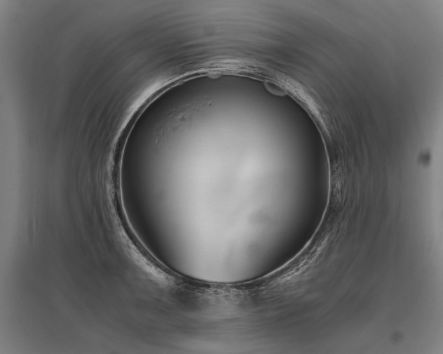 X0000096161091200801181219
