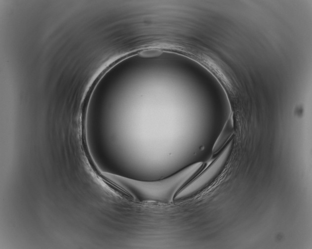 X0000096161092200801181219