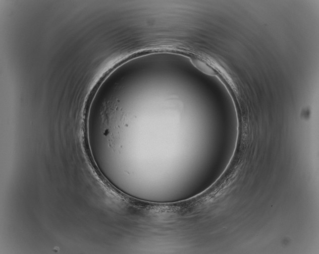 X0000096161093200801181219