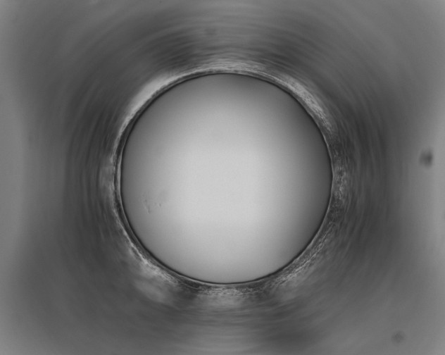 X0000096161094200801181219