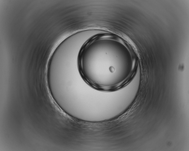 X0000096161096200801181219