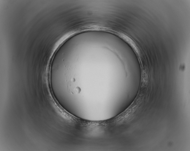 X0000096161098200801181219