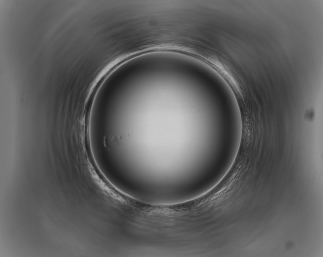 X0000096161100200801181219