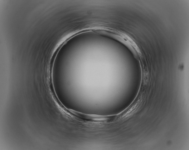 X0000096161101200801181219
