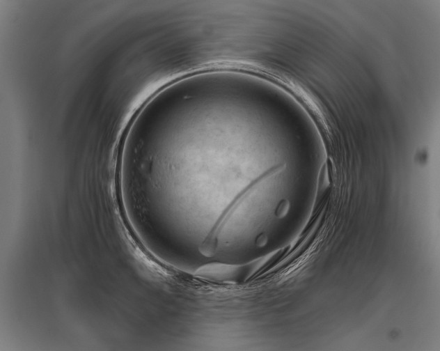 X0000096161102200801181219