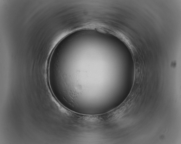 X0000096161103200801181219