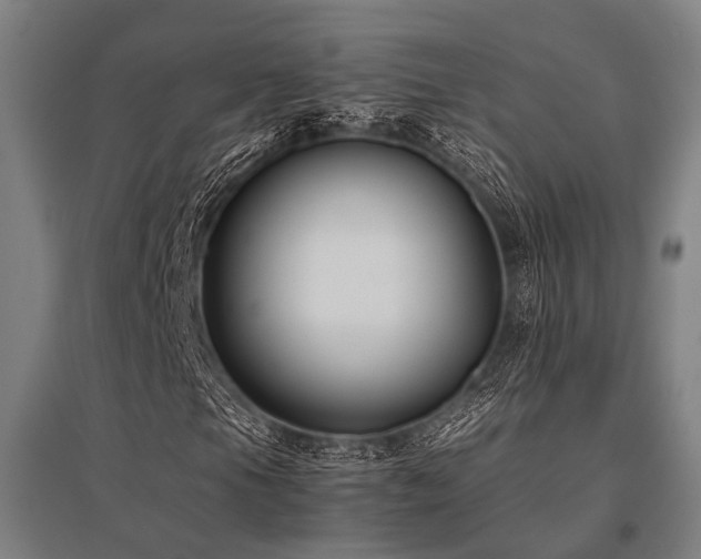 X0000096161105200801181219