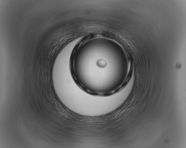 X0000096161108200801181219