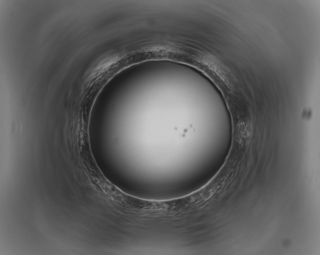X0000096161111200801181219