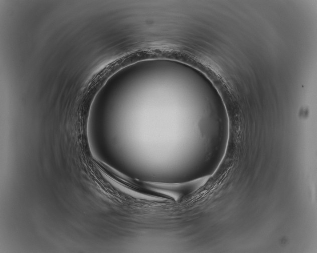 X0000096161112200801181219