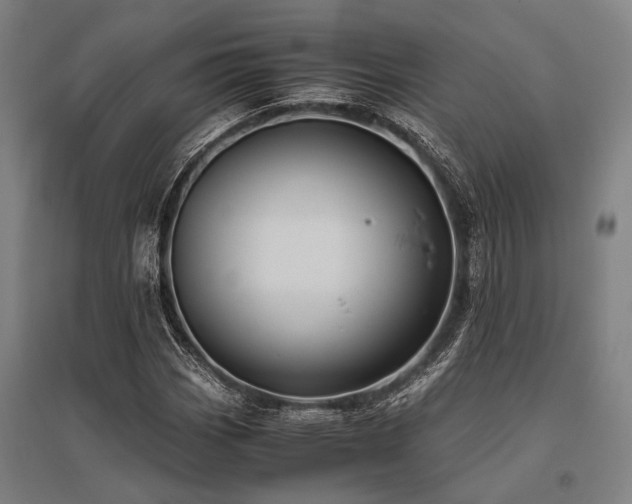 X0000096161113200801181219