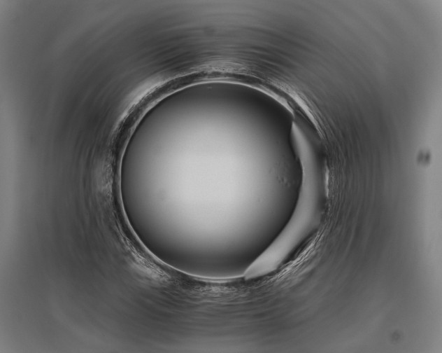 X0000096161115200801181219