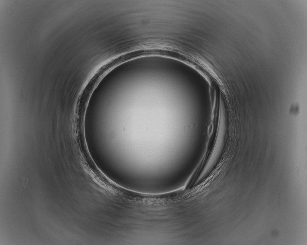X0000096161116200801181219