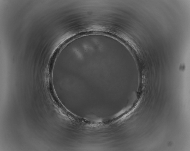 X0000096161117200801181219