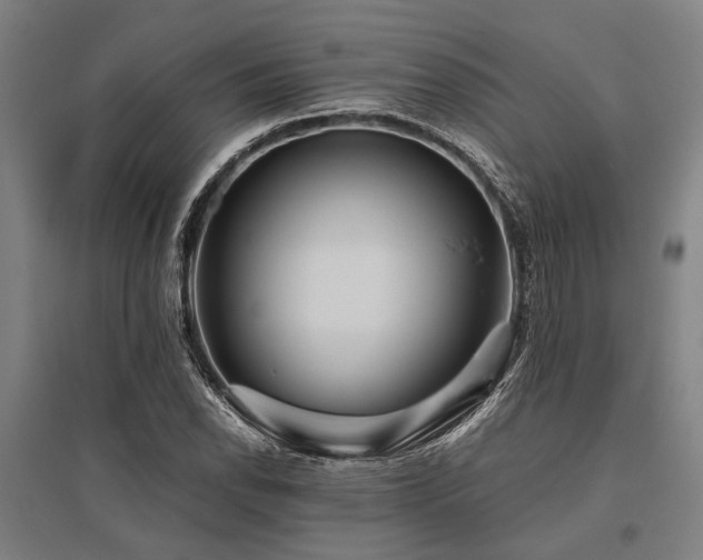 X0000096161118200801181219