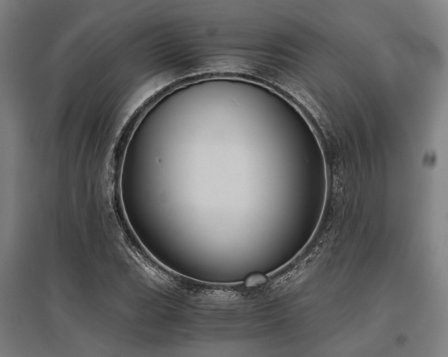 X0000096161119200801181219