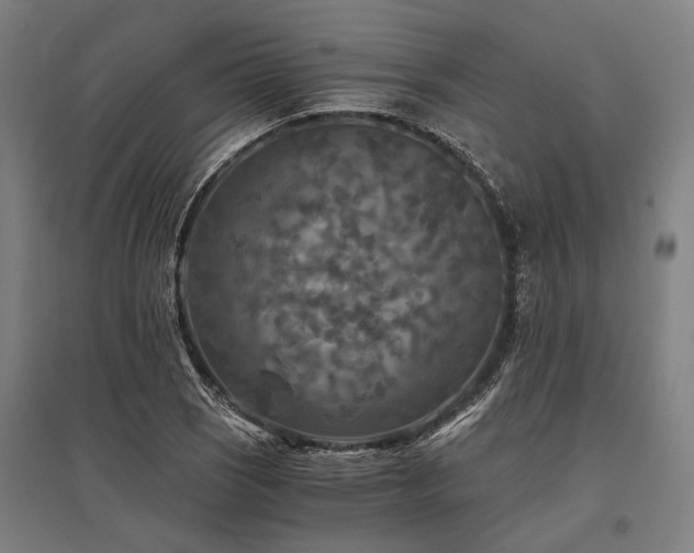 X0000096161121200801181219