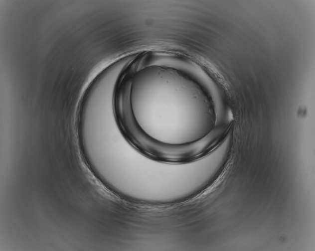 X0000096161122200801181219