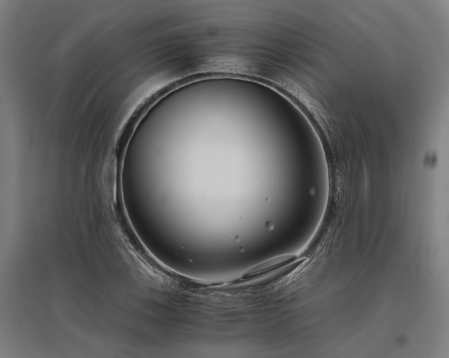 X0000096161123200801181219