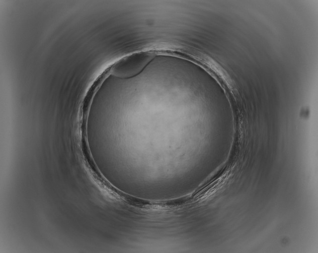 X0000096161124200801181219