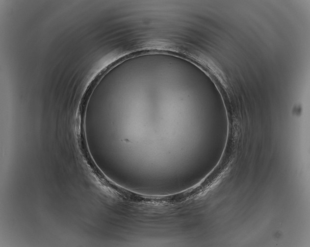 X0000096161125200801181219