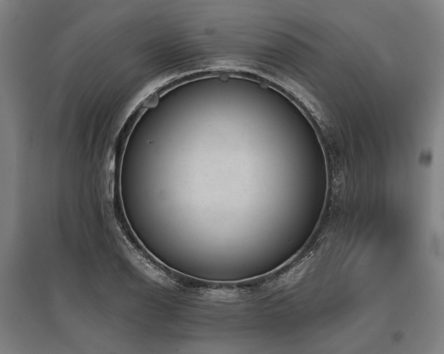 X0000096161126200801181219
