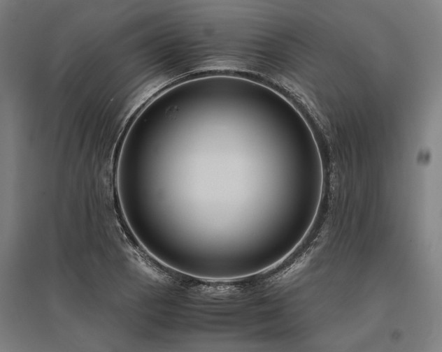 X0000096161129200801181219