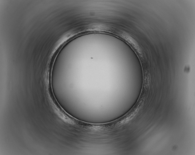 X0000096161130200801181219