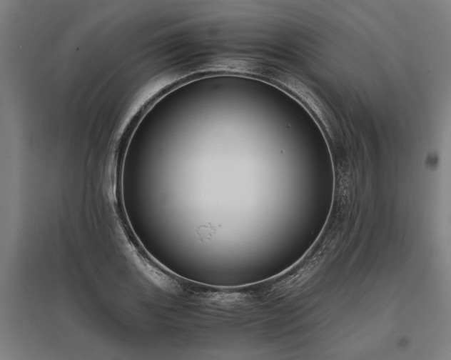 X0000096161131200801181219