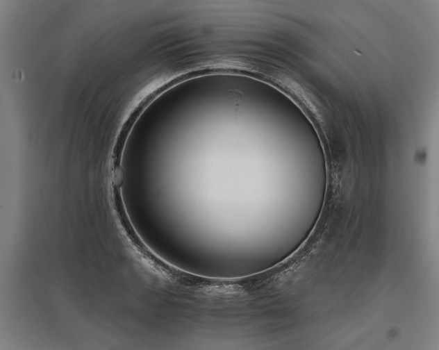 X0000096161133200801181219