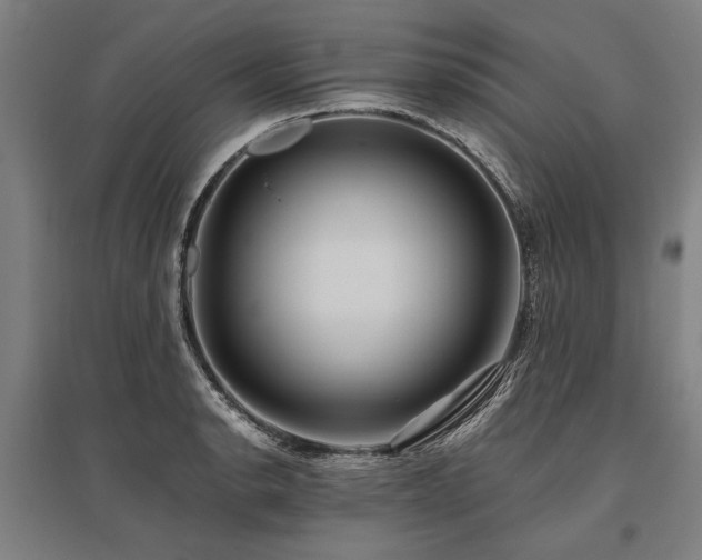 X0000096161134200801181219