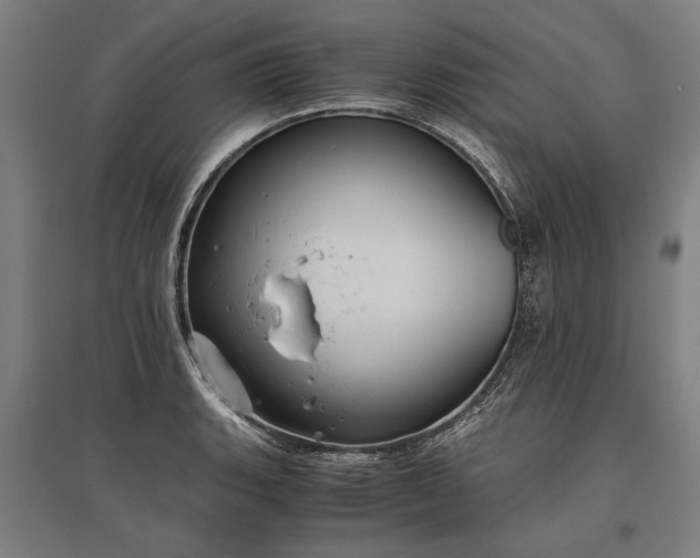 X0000096161135200801181219