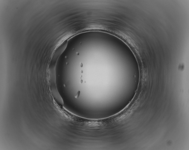 X0000096161137200801181219