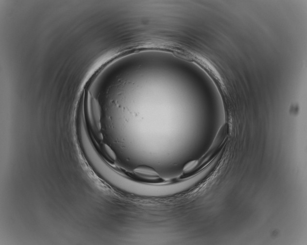 X0000096161138200801181219