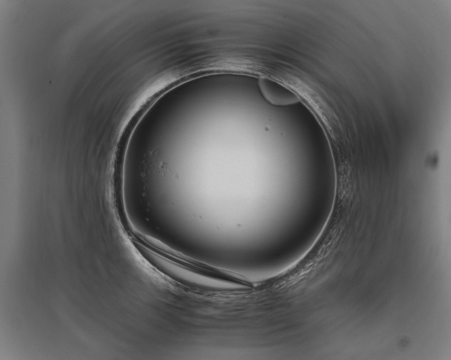 X0000096161139200801181219