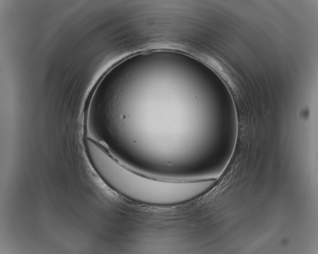 X0000096161140200801181219