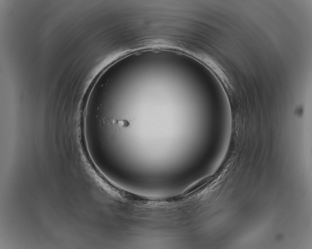 X0000096161142200801181219