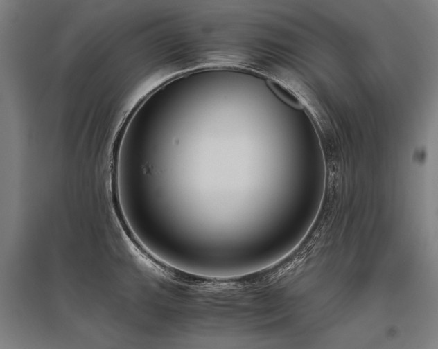 X0000096161143200801181219