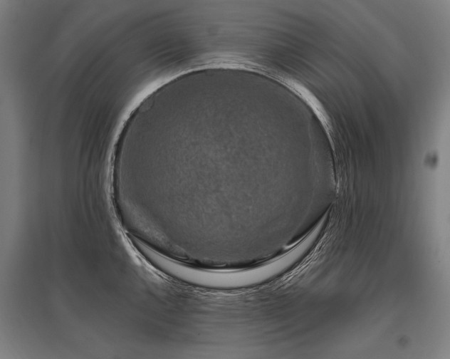 X0000096161144200801181219
